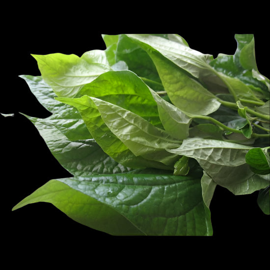 Cha_Plu_Leaves