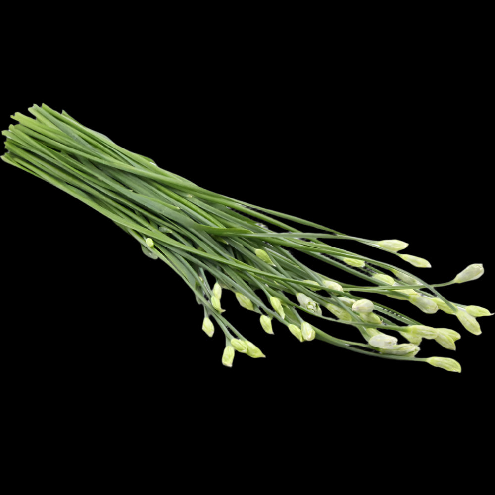 Thai-Chinese Flower Ptel