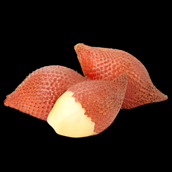 Sala Fruit (Snake Fruit)
