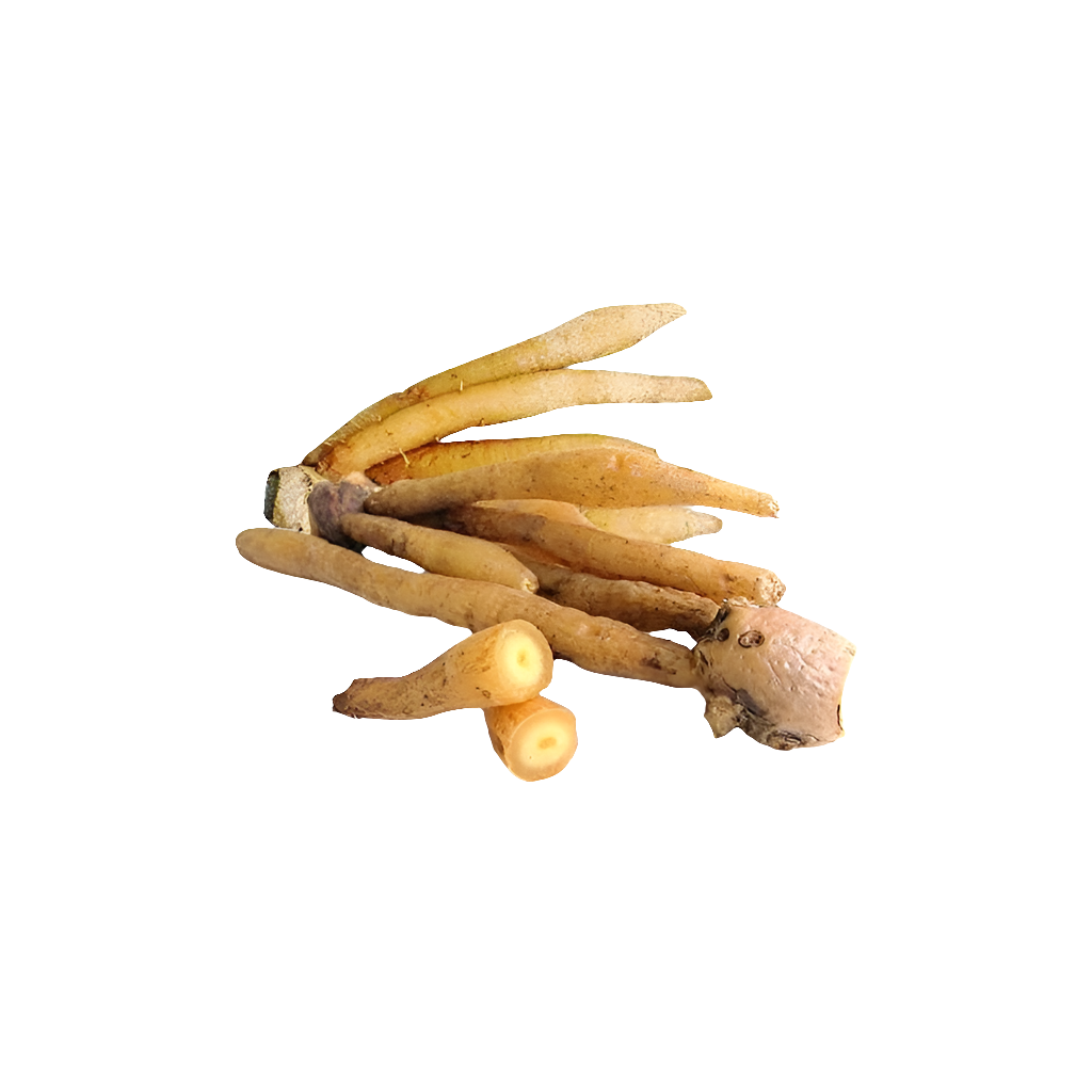 Fresh Thai KraChai (Thai Fingerroot) 200g