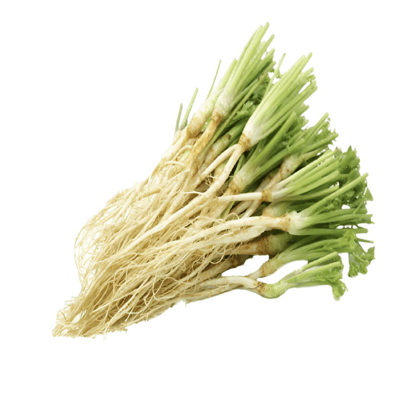 Coriander Root The Tasty Wok Thai Oriental Supermarket