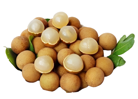 Fresh Longan Nhan Tuoi