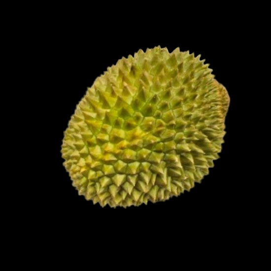 Green Musanf King Durian fruit