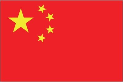 Chinese - The Tasty Wok