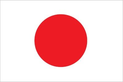 Japanese - The Tasty Wok