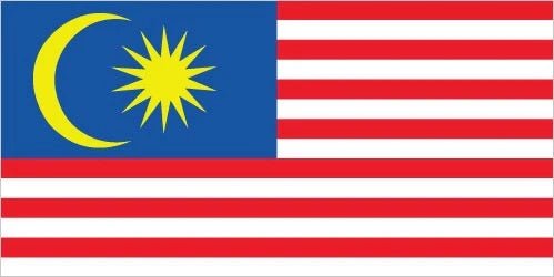 Malaysian - The Tasty Wok