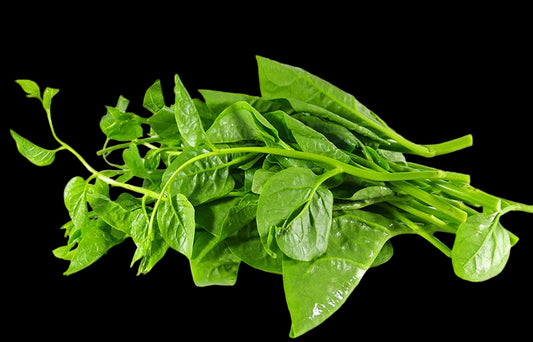 Ceylon Spinach Mong Toi 200g