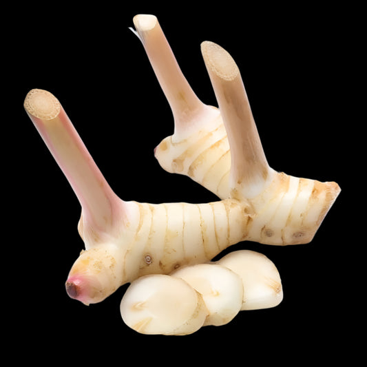 Fresh Galangal