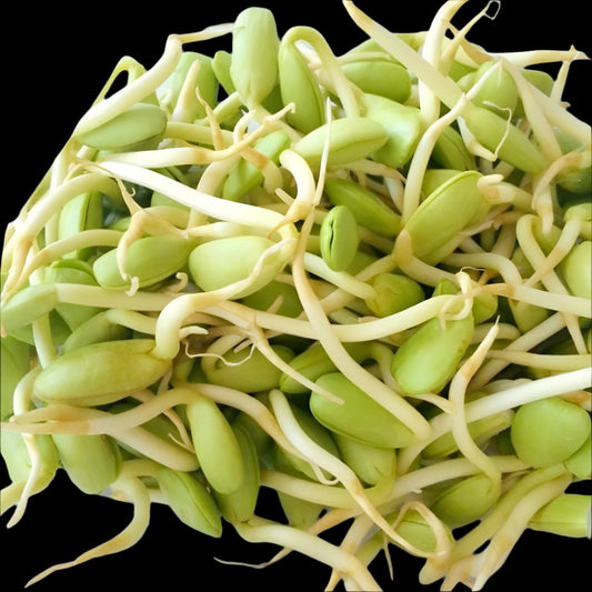 LukLieng