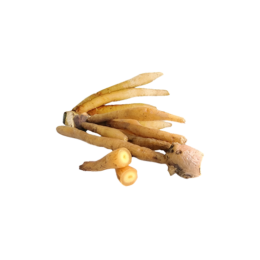 Fresh Thai KraChai (Thai Fingerroot) 200g