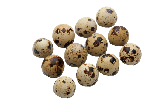 ไข่นกกระทาสด 1 โหล