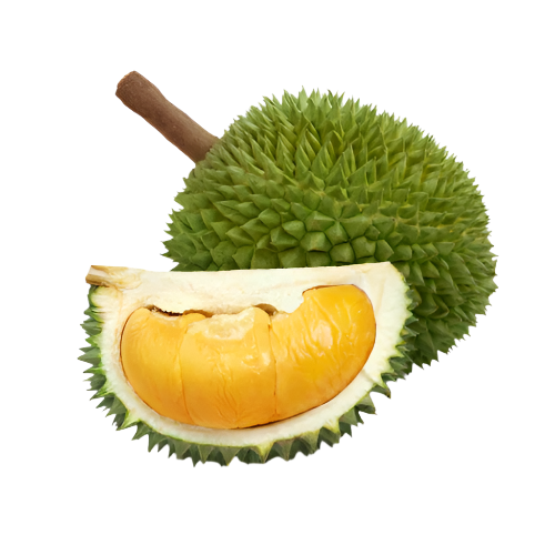 Freshly Imported Durian Fruit