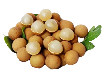 Fresh Longan Nhan Tuoi