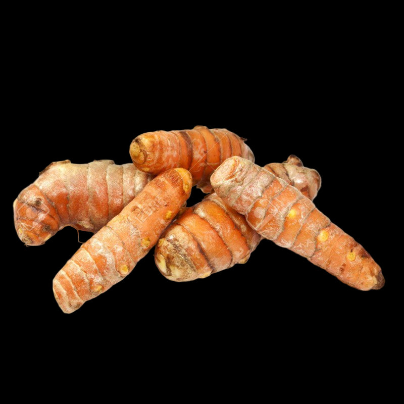 Turmeric roots 