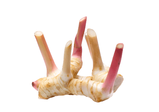 Galangal - The Tasty Wok