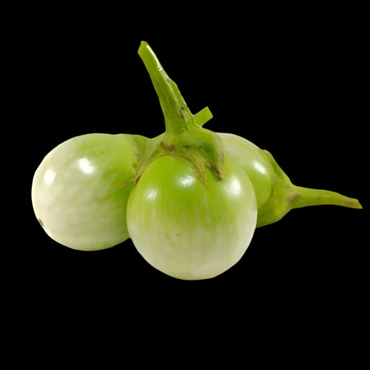 green-egg-plant