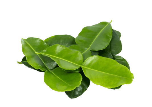 Kafir Lime Leaves - The Tasty Wok