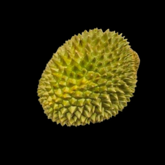 Green Musanf King Durian fruit 