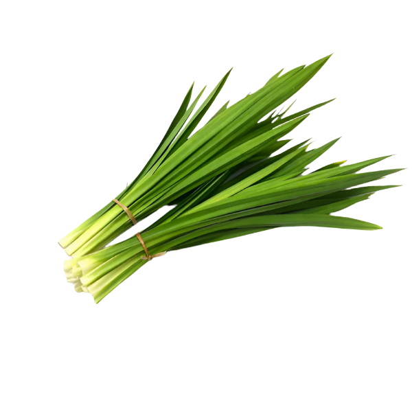 pandan-leaf