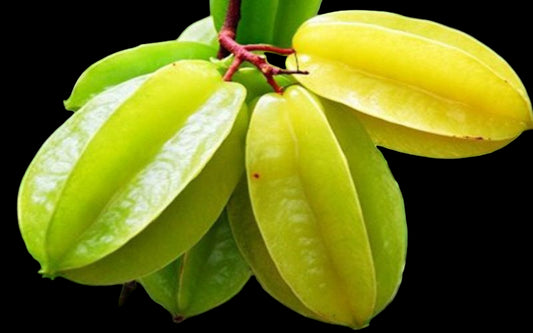 Vietnamese Star Fruit 200g